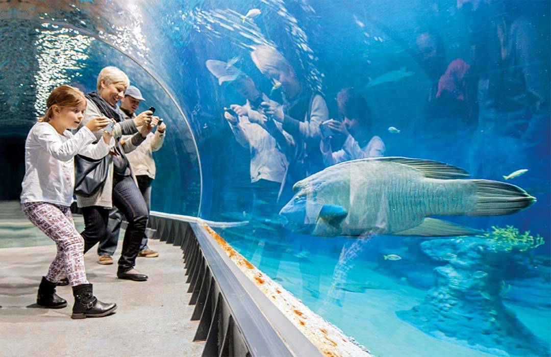 Żar tropików – oceanarium we Wrocławiu | WerandaWeekend.pl