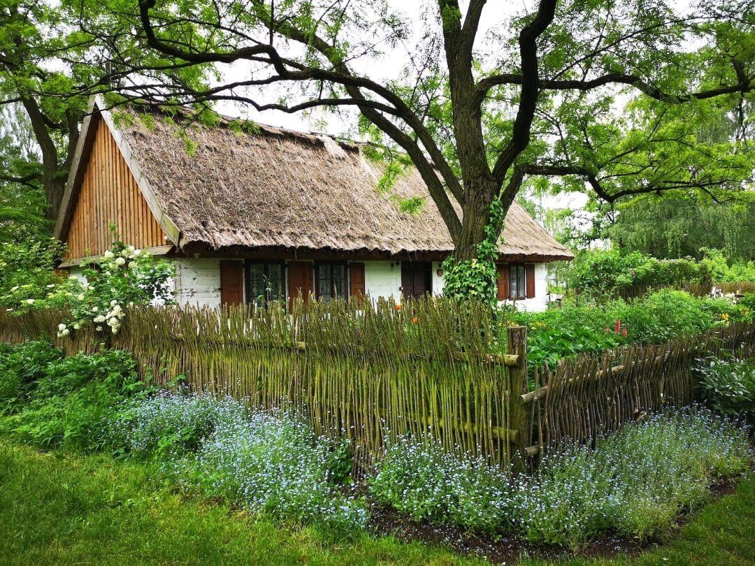 ogród botaniczny w Łodzi