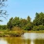 Bagno Całowanie pod Warszawą