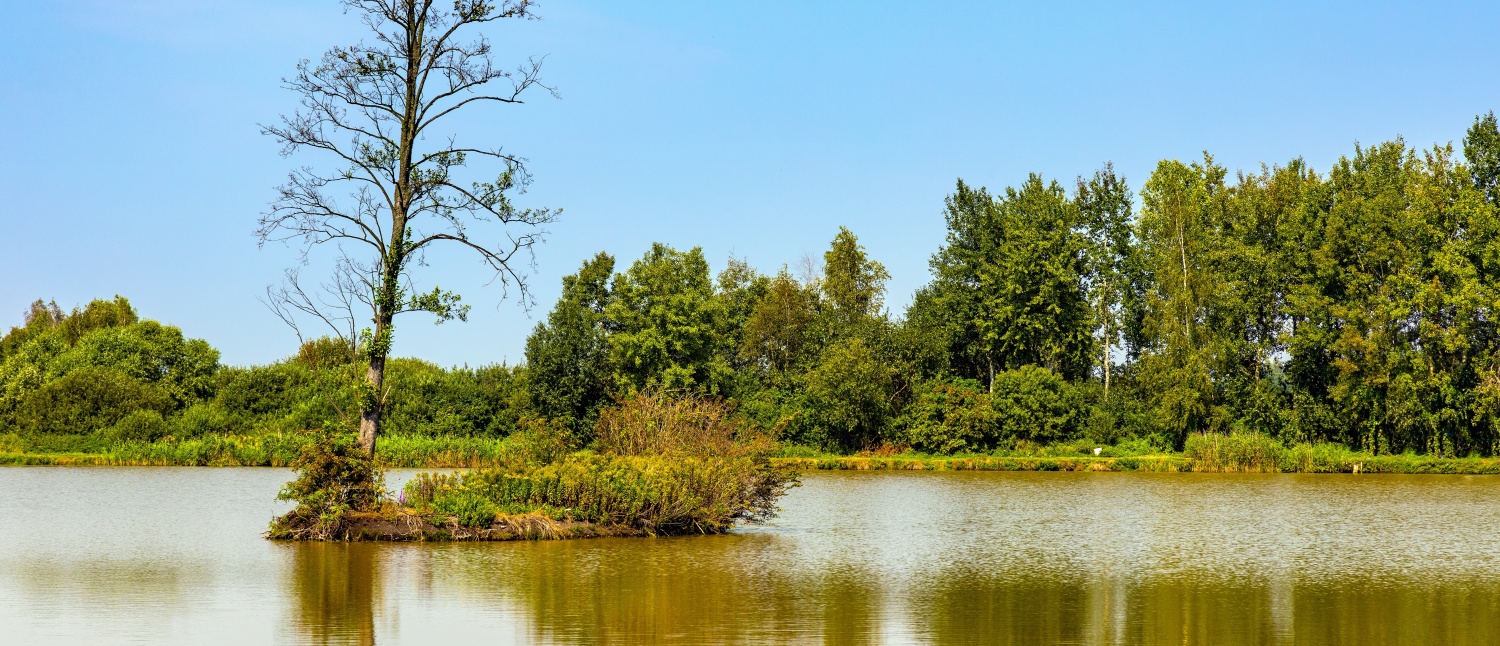 Bagno Całowanie pod Warszawą