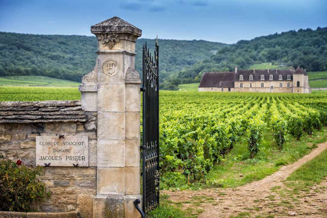 burgundia winnice Chateau du Clos de Vougeot